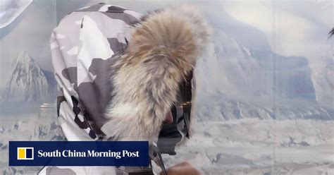 canada goose china huawei